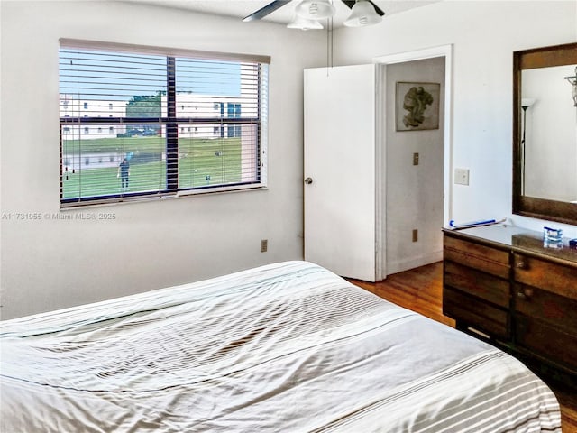 bedroom featuring multiple windows, hardwood / wood-style floors, and ceiling fan