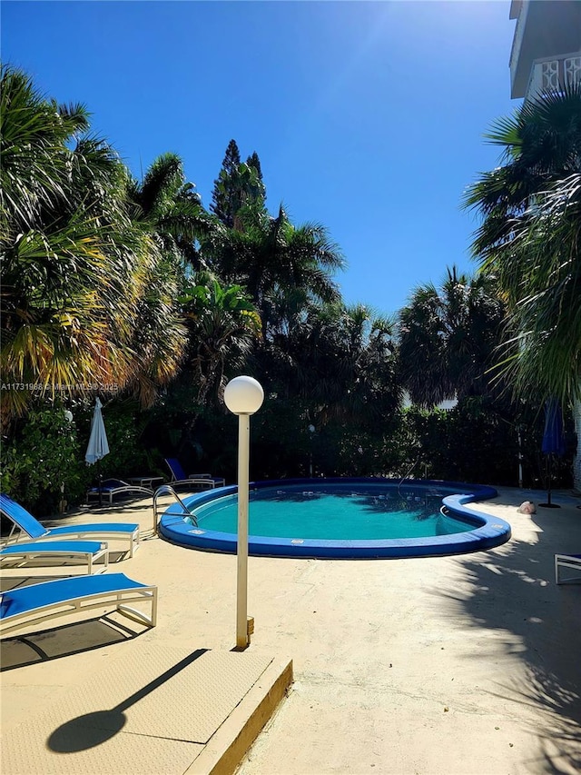 view of pool featuring a patio area