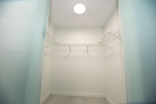 spacious closet featuring light hardwood / wood-style flooring