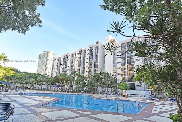 view of pool featuring a patio