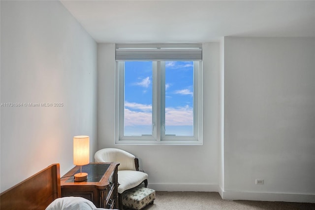 sitting room featuring carpet flooring