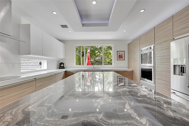 kitchen with sink, white cabinetry, a raised ceiling, stainless steel appliances, and light stone countertops