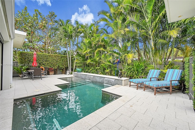 view of pool featuring a patio