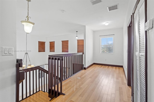 spacious closet with light hardwood / wood-style floors