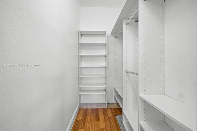 unfurnished bedroom featuring light hardwood / wood-style flooring and a closet