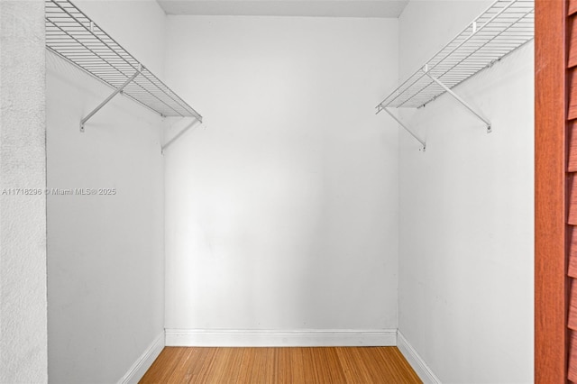 spacious closet featuring wood-type flooring