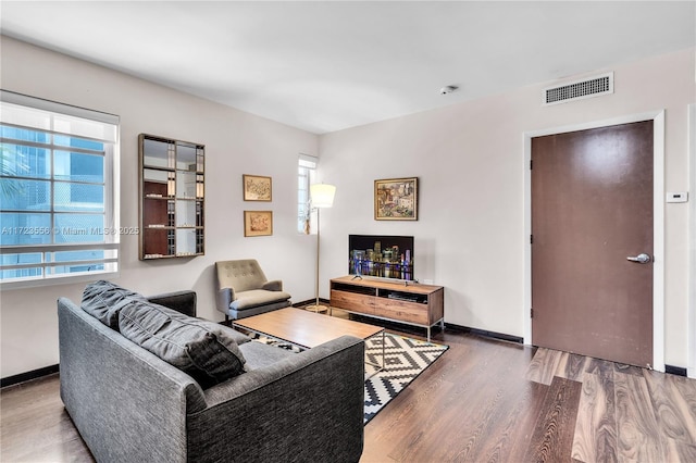 living room featuring hardwood / wood-style floors