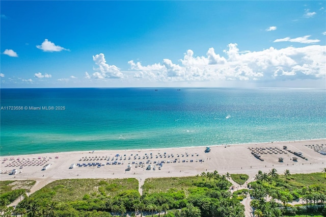 water view featuring a view of the beach