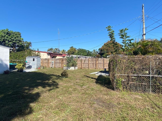 view of yard featuring a storage unit