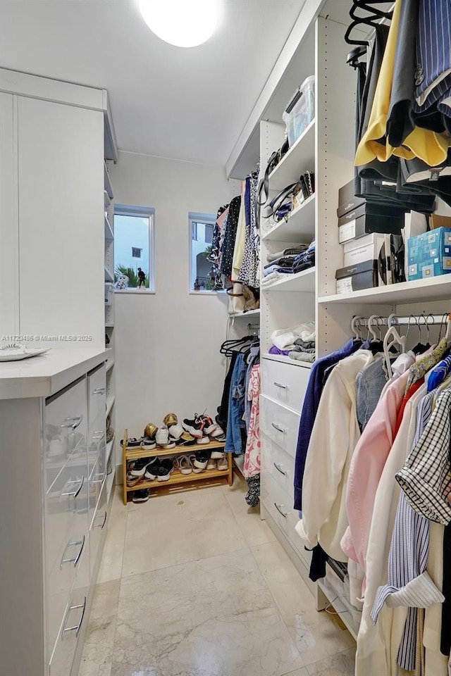 view of spacious closet