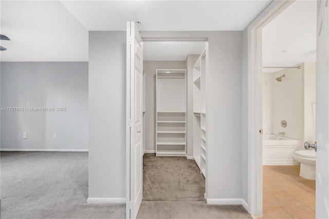 walk in closet with light colored carpet