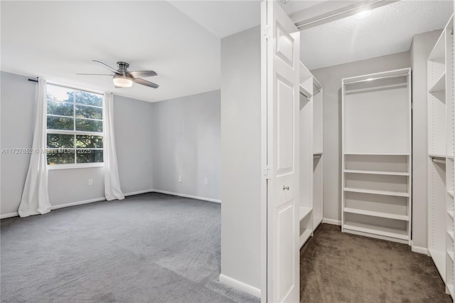 spacious closet with ceiling fan and dark colored carpet