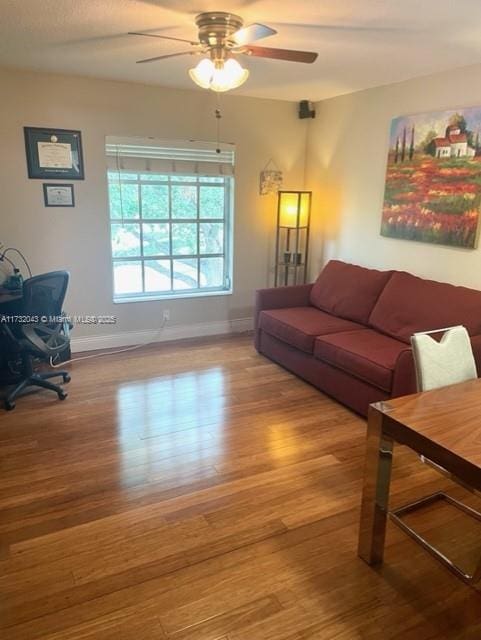 living room with ceiling fan and light hardwood / wood-style floors