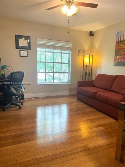 living room featuring ceiling fan and light hardwood / wood-style floors