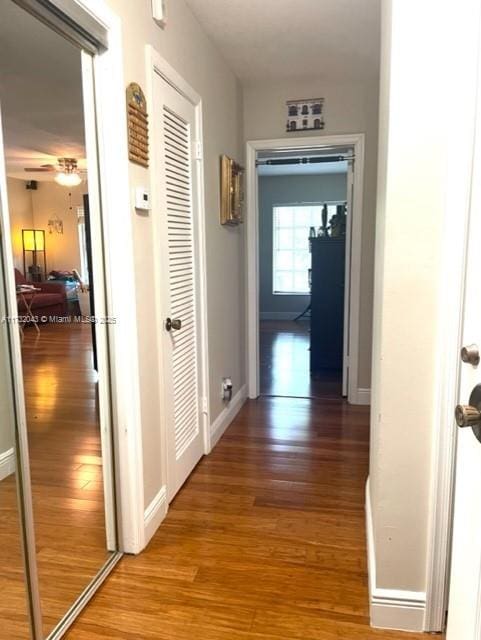 hall with hardwood / wood-style flooring