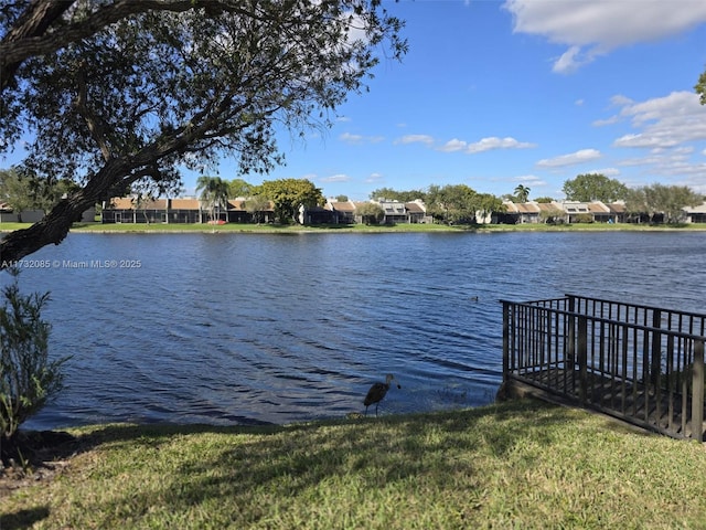 dock area with a water view