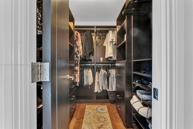 walk in closet with hardwood / wood-style floors