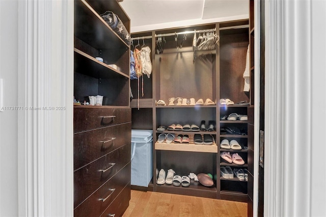 spacious closet featuring light hardwood / wood-style flooring