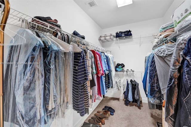 spacious closet featuring carpet flooring