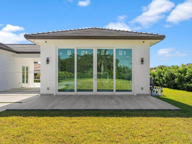 back of house featuring a patio and a lawn