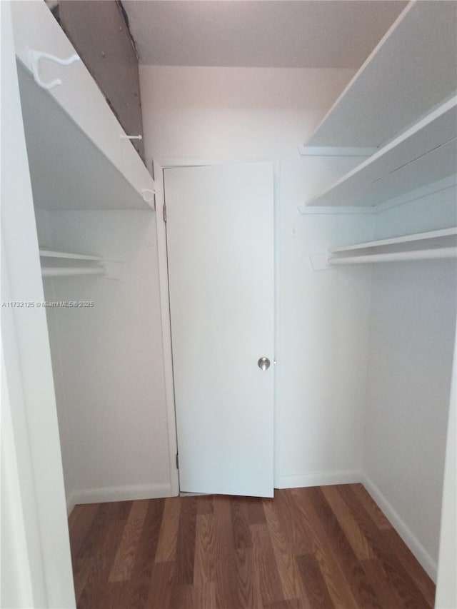 spacious closet featuring hardwood / wood-style floors