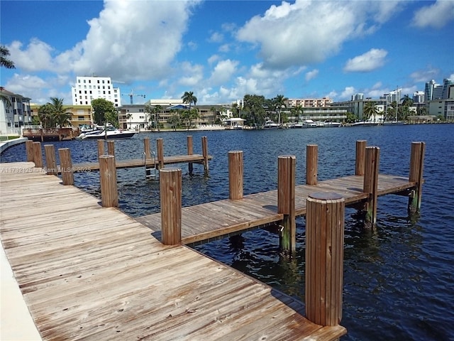 dock area with a water view