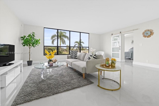 living room featuring a barn door