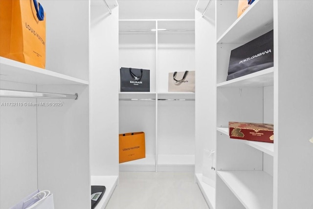 view of spacious closet