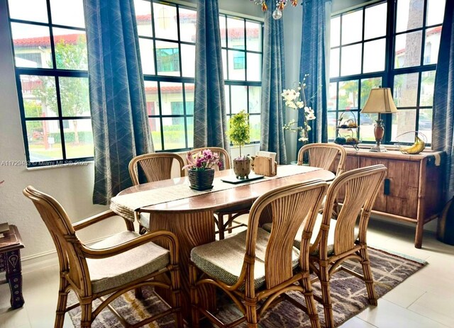 dining area featuring a wealth of natural light