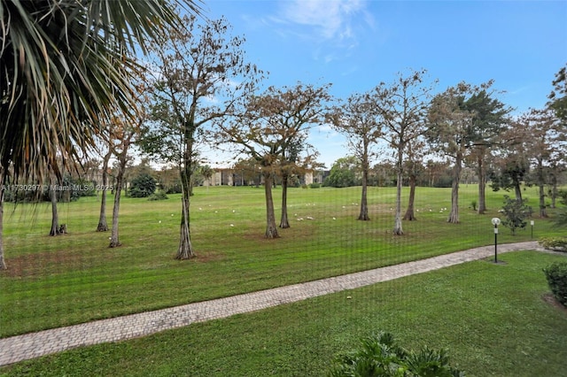 view of property's community featuring a lawn