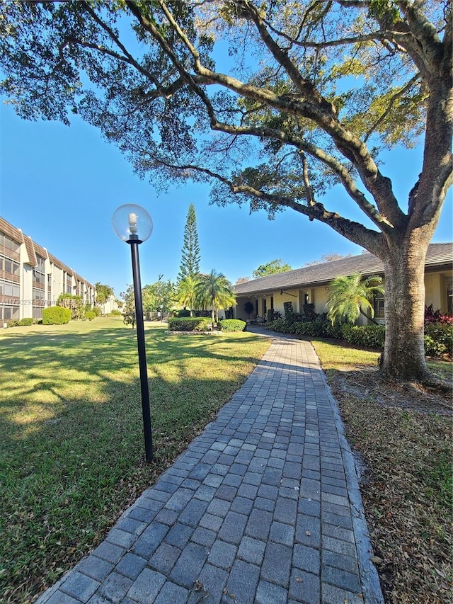 view of property's community featuring a lawn