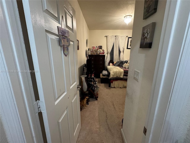 hallway with a textured ceiling and carpet