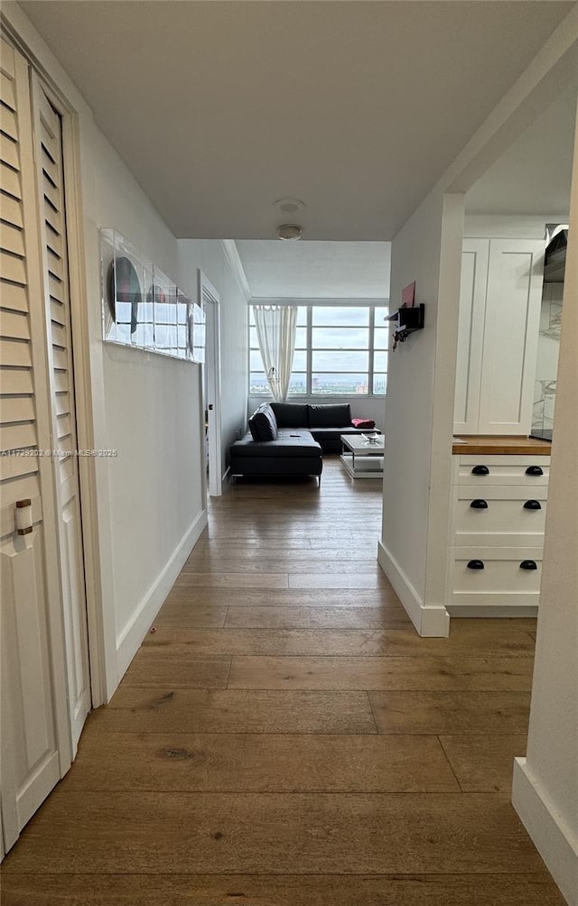 hall featuring dark wood-type flooring