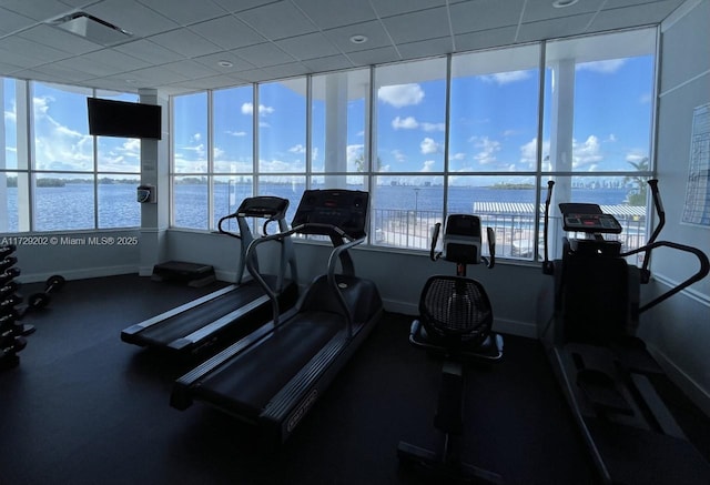 exercise room featuring a healthy amount of sunlight