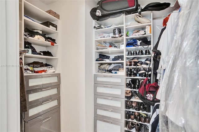 view of spacious closet