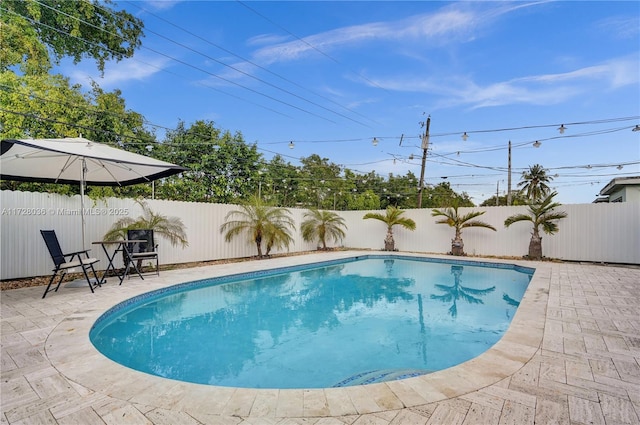 view of pool with a patio area