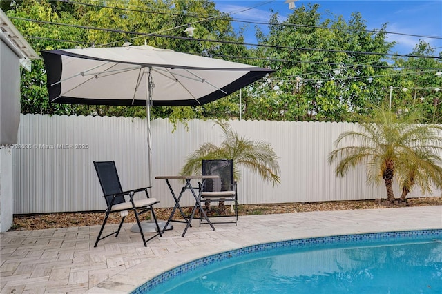 view of swimming pool with a patio