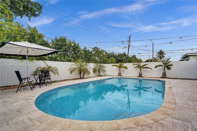 view of pool with a patio