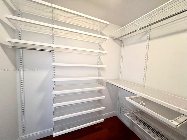 view of spacious closet