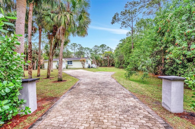 view of property's community with a yard