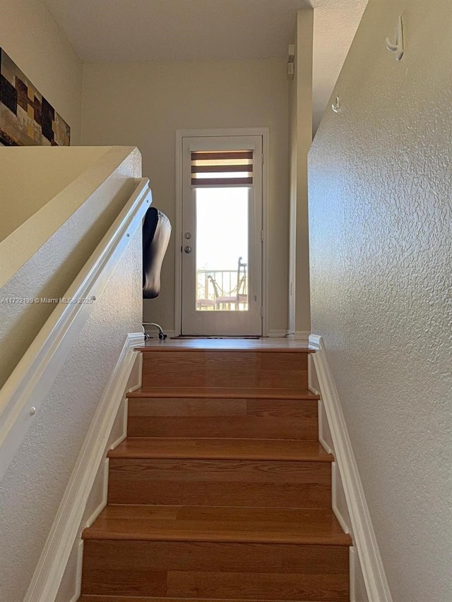 stairway with hardwood / wood-style flooring