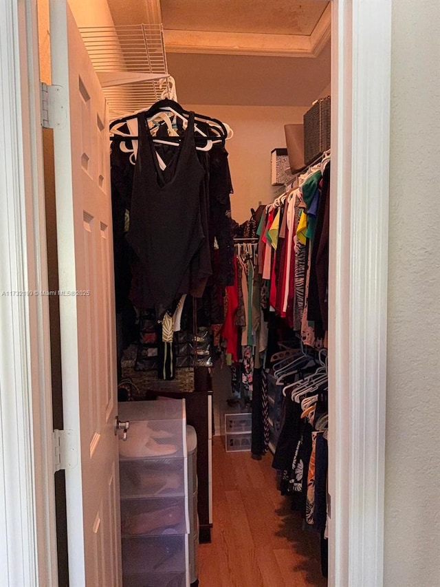 walk in closet with wood-type flooring