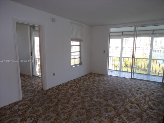 unfurnished room with carpet floors