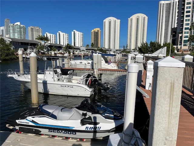 dock area with a water view