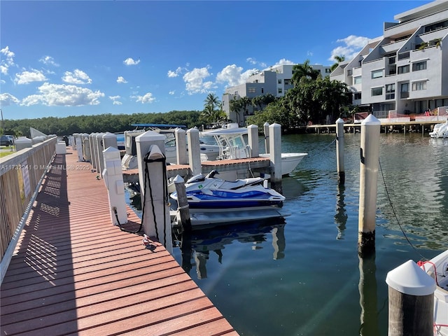 dock area with a water view