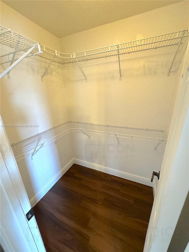 walk in closet with dark hardwood / wood-style flooring