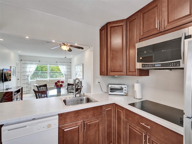 kitchen featuring dishwasher, sink, black electric stovetop, and ceiling fan