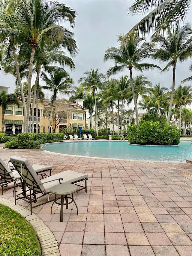 view of swimming pool featuring a patio area