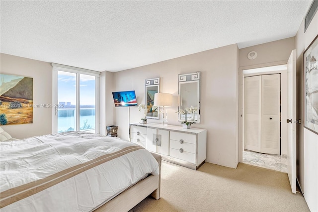 carpeted bedroom featuring access to exterior, a closet, and a textured ceiling