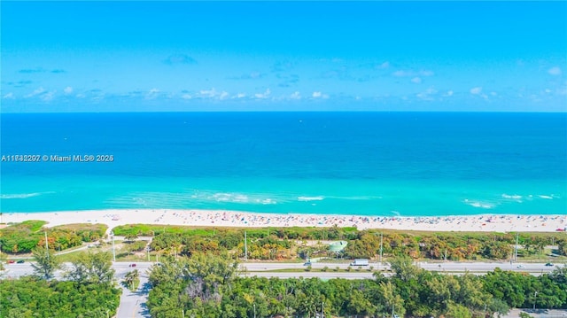 property view of water with a view of the beach